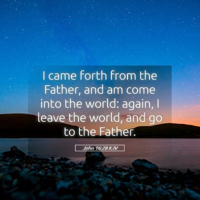 Picture 05 - John 16:28 KJV - I came forth from the Father, and am come into - Bible Verse Picture