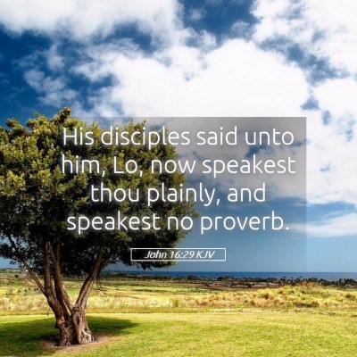 Picture 05 - John 16:29 KJV - His disciples said unto him, Lo, now speakest - Bible Verse Picture