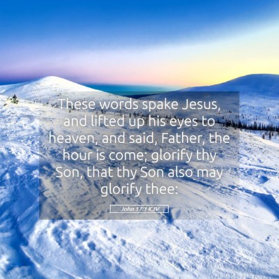 Picture 05 - John 17:1 KJV - These words spake Jesus, and lifted up his eyes - Bible Verse Picture
