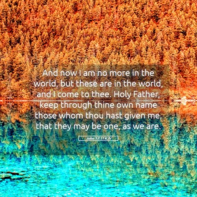Picture 05 - John 17:11 KJV - And now I am no more in the world, but these are - Bible Verse Picture