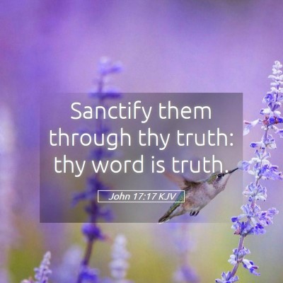 Picture 05 - John 17:17 KJV - Sanctify them through thy truth: thy word is - Bible Verse Picture