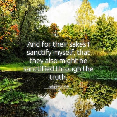 Picture 05 - John 17:19 KJV - And for their sakes I sanctify myself, that they - Bible Verse Picture