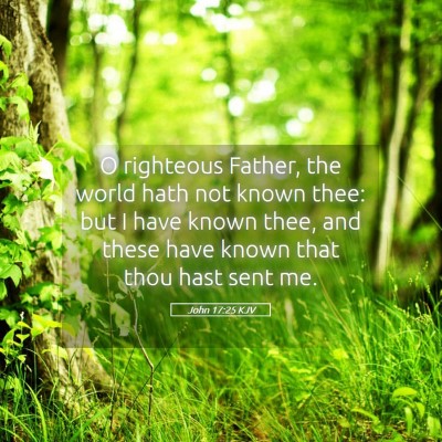 Picture 05 - John 17:25 KJV - O righteous Father, the world hath not known - Bible Verse Picture