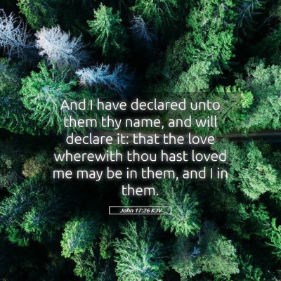Picture 05 - John 17:26 KJV - And I have declared unto them thy name, and will - Bible Verse Picture