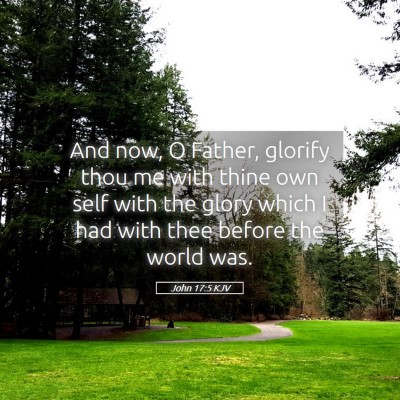 Picture 05 - John 17:5 KJV - And now, O Father, glorify thou me with thine own - Bible Verse Picture
