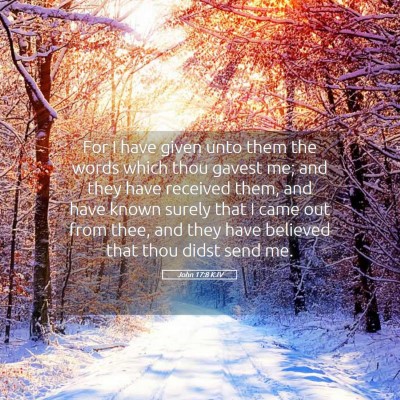Picture 05 - John 17:8 KJV - For I have given unto them the words which thou - Bible Verse Picture