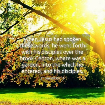 Picture 05 - John 18:1 KJV - When Jesus had spoken these words, he went forth - Bible Verse Picture