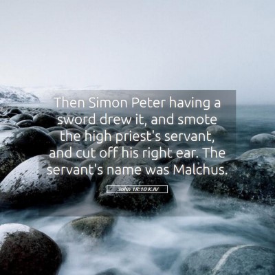 Picture 05 - John 18:10 KJV - Then Simon Peter having a sword drew it, and - Bible Verse Picture