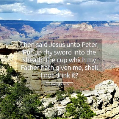 Picture 05 - John 18:11 KJV - Then said Jesus unto Peter, Put up thy sword into - Bible Verse Picture
