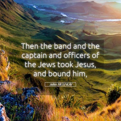 Picture 05 - John 18:12 KJV - Then the band and the captain and officers of the - Bible Verse Picture