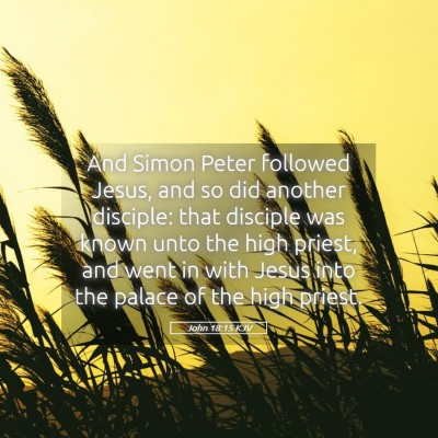 Picture 05 - John 18:15 KJV - And Simon Peter followed Jesus, and so did - Bible Verse Picture