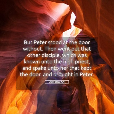 Picture 05 - John 18:16 KJV - But Peter stood at the door without. Then went - Bible Verse Picture