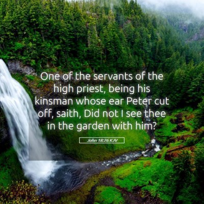 Picture 05 - John 18:26 KJV - One of the servants of the high priest, being his - Bible Verse Picture