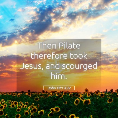Picture 05 - John 19:1 KJV - Then Pilate therefore took Jesus, and scourged - Bible Verse Picture