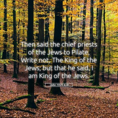 Picture 05 - John 19:21 KJV - Then said the chief priests of the Jews to - Bible Verse Picture