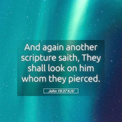 Picture 05 - John 19:37 KJV - And again another scripture saith, They shall - Bible Verse Picture