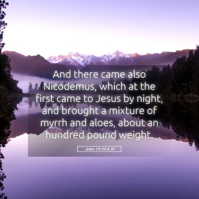 Picture 05 - John 19:39 KJV - And there came also Nicodemus, which at the first - Bible Verse Picture