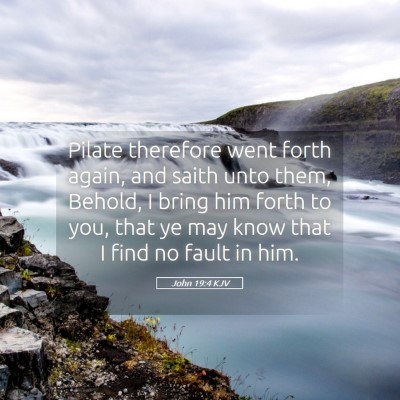 Picture 05 - John 19:4 KJV - Pilate therefore went forth again, and saith unto - Bible Verse Picture