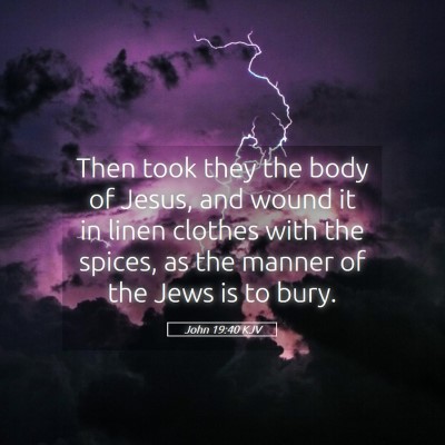 Picture 05 - John 19:40 KJV - Then took they the body of Jesus, and wound it in - Bible Verse Picture