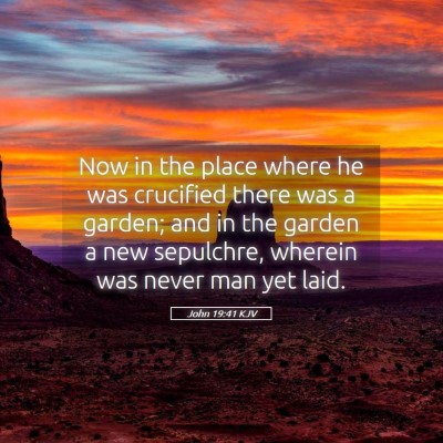 Picture 05 - John 19:41 KJV - Now in the place where he was crucified there was - Bible Verse Picture