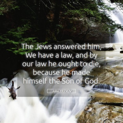 Picture 05 - John 19:7 KJV - The Jews answered him, We have a law, and by our - Bible Verse Picture