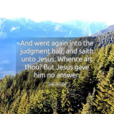 Picture 05 - John 19:9 KJV - And went again into the judgment hall, and saith - Bible Verse Picture