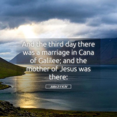Picture 05 - John 2:1 KJV - And the third day there was a marriage in Cana of - Bible Verse Picture