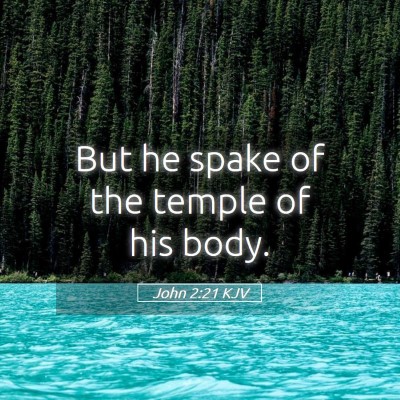Picture 05 - John 2:21 KJV - But he spake of the temple of his - Bible Verse Picture