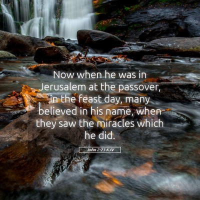Picture 05 - John 2:23 KJV - Now when he was in Jerusalem at the passover, in - Bible Verse Picture