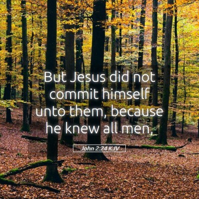 Picture 05 - John 2:24 KJV - But Jesus did not commit himself unto them, - Bible Verse Picture