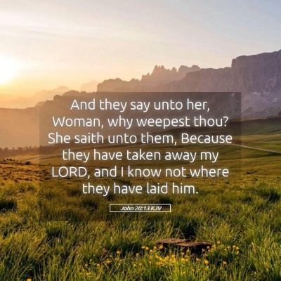 Picture 05 - John 20:13 KJV - And they say unto her, Woman, why weepest thou? - Bible Verse Picture