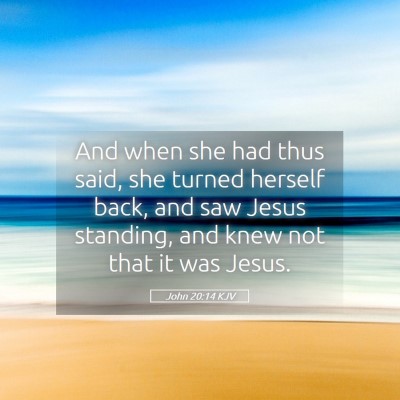 Picture 05 - John 20:14 KJV - And when she had thus said, she turned herself - Bible Verse Picture