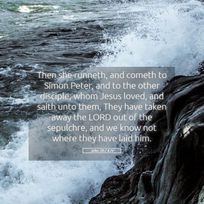 Picture 05 - John 20:2 KJV - Then she runneth, and cometh to Simon Peter, and - Bible Verse Picture