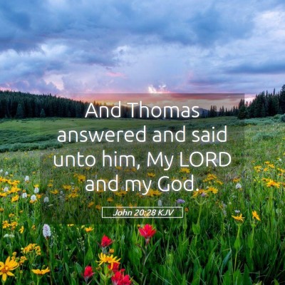 Picture 05 - John 20:28 KJV - And Thomas answered and said unto him, My LORD - Bible Verse Picture