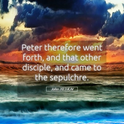 Picture 05 - John 20:3 KJV - Peter therefore went forth, and that other - Bible Verse Picture