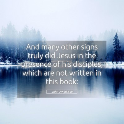 Picture 05 - John 20:30 KJV - And many other signs truly did Jesus in the - Bible Verse Picture
