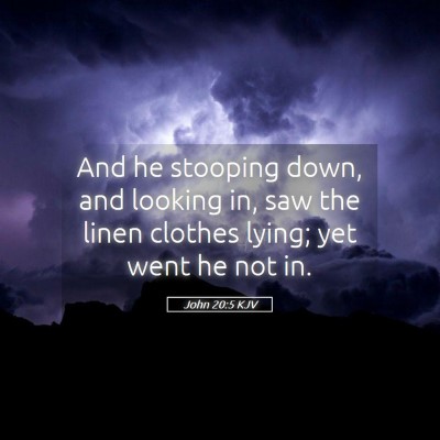 Picture 05 - John 20:5 KJV - And he stooping down, and looking in, saw the - Bible Verse Picture
