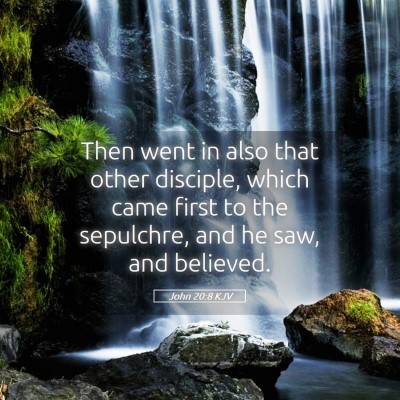 Picture 05 - John 20:8 KJV - Then went in also that other disciple, which came - Bible Verse Picture