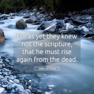 Picture 05 - John 20:9 KJV - For as yet they knew not the scripture, that he - Bible Verse Picture