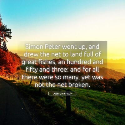 Picture 05 - John 21:11 KJV - Simon Peter went up, and drew the net to land - Bible Verse Picture