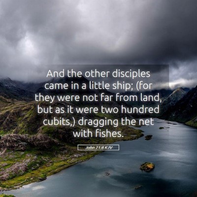 Picture 05 - John 21:8 KJV - And the other disciples came in a little ship; - Bible Verse Picture