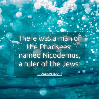 Picture 05 - John 3:1 KJV - There was a man of the Pharisees, named - Bible Verse Picture
