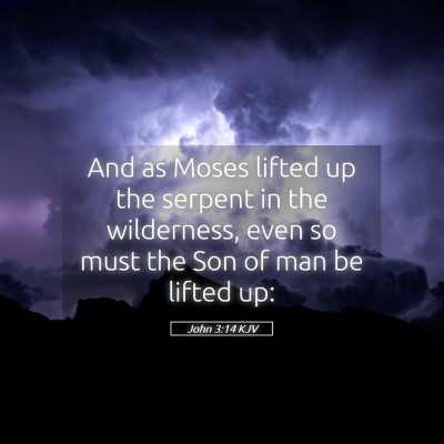 Picture 05 - John 3:14 KJV - And as Moses lifted up the serpent in the - Bible Verse Picture