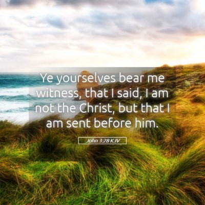 Picture 05 - John 3:28 KJV - Ye yourselves bear me witness, that I said, I am - Bible Verse Picture