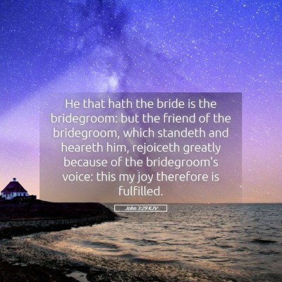 Picture 05 - John 3:29 KJV - He that hath the bride is the bridegroom: but the - Bible Verse Picture