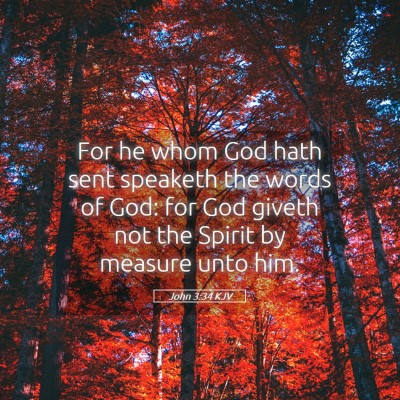 Picture 05 - John 3:34 KJV - For he whom God hath sent speaketh the words of - Bible Verse Picture