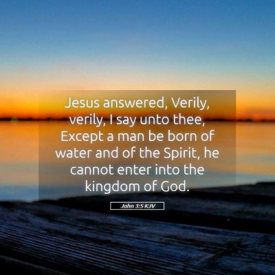 Picture 05 - John 3:5 KJV - Jesus answered, Verily, verily, I say unto thee, - Bible Verse Picture