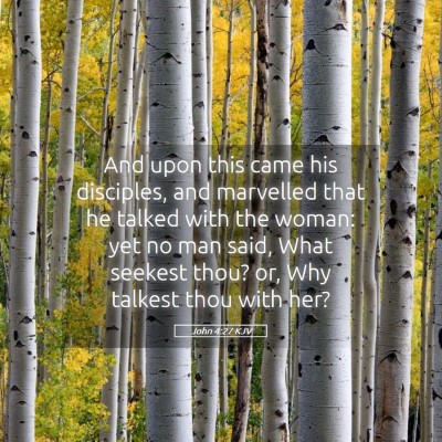 Picture 05 - John 4:27 KJV - And upon this came his disciples, and marvelled - Bible Verse Picture