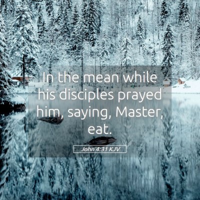 Picture 05 - John 4:31 KJV - In the mean while his disciples prayed him, - Bible Verse Picture