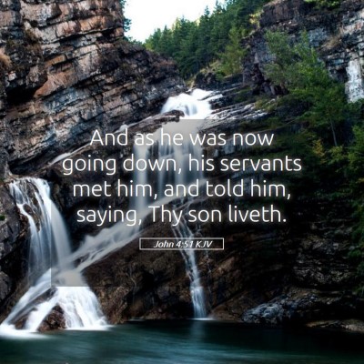 Picture 05 - John 4:51 KJV - And as he was now going down, his servants met - Bible Verse Picture